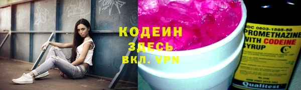 прущие грибы Балабаново