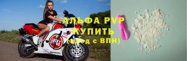 прущие грибы Балабаново