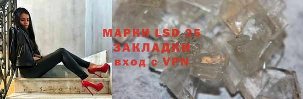 прущие грибы Балабаново