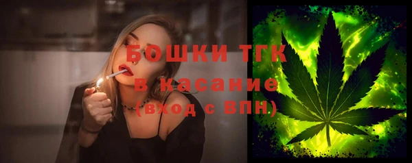 прущие грибы Балабаново