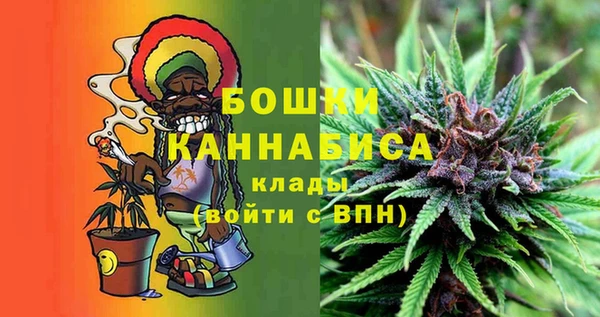 прущие грибы Балабаново