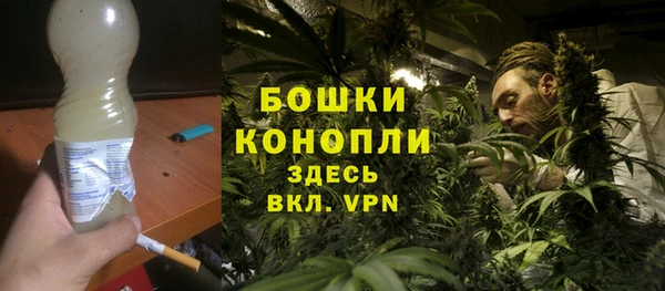 прущие грибы Балабаново