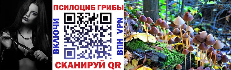 ссылка на мегу tor Ладушкин Псилоцибиновые грибы Magic Shrooms